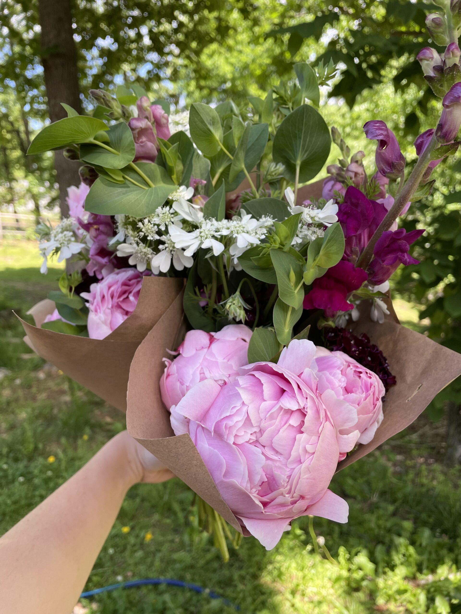 Win a Free Bouquet