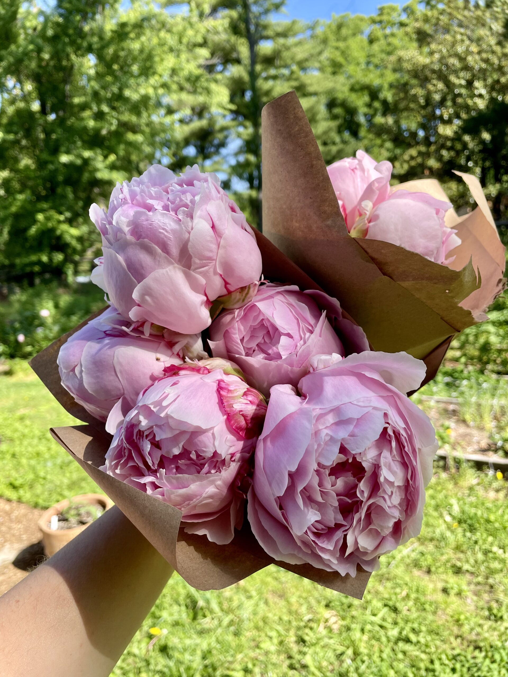 Made with love in Rogers, AR